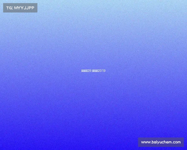 篮球赛事29 篮球赛事2019